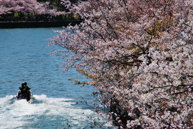 大阪城及周边区域