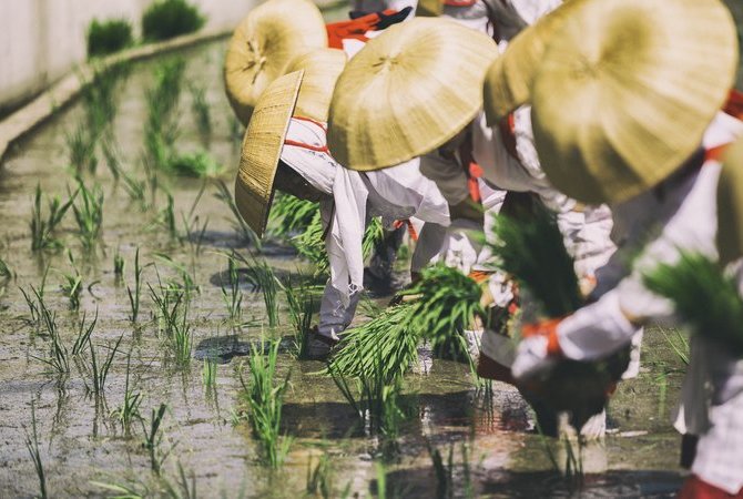 御田植神事