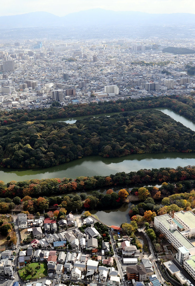 堺市与岸和田