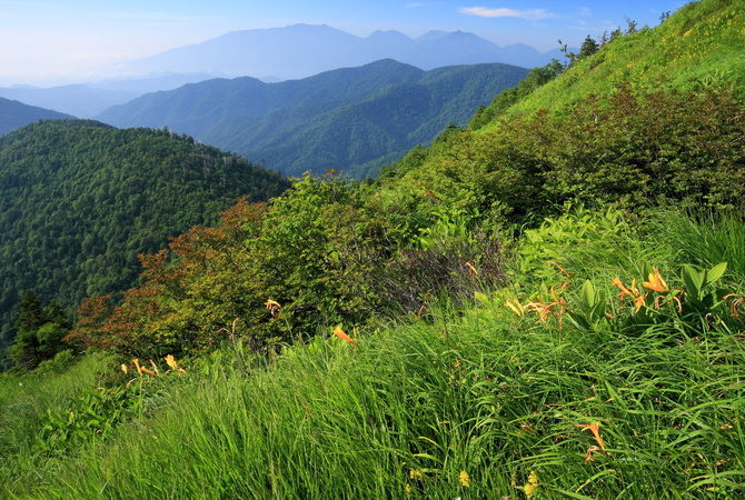 尾濑国立公园(栃木)