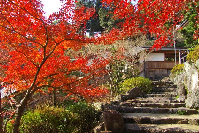 高野寺