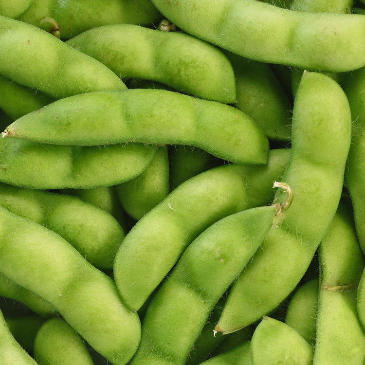 日本素食和素食主义者指南