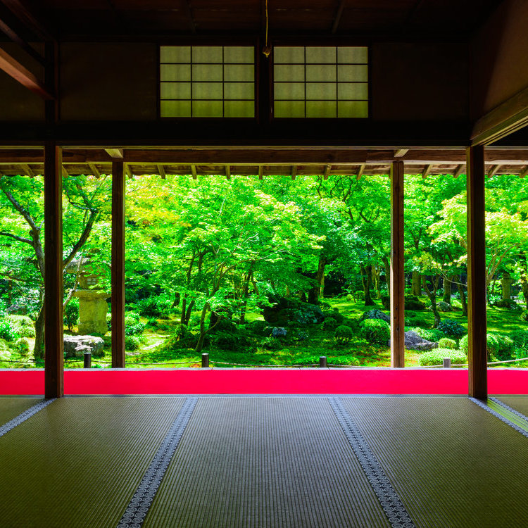 日本禅宗佛教和冥想