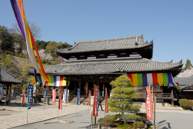 三井寺（长等山园城寺）