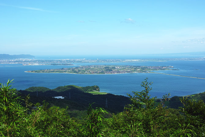 大根岛