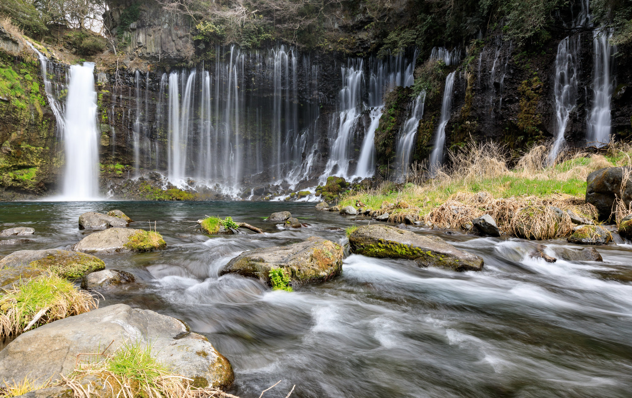 白丝瀑布（静冈）