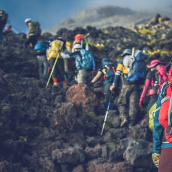 日本活动与探险
