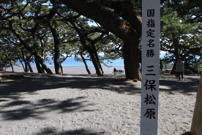 三保松原