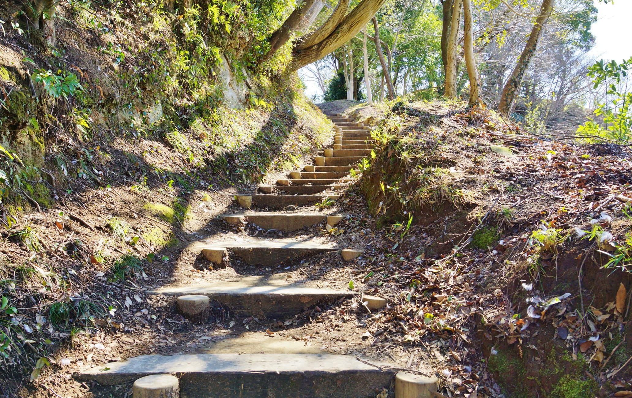 韮山城旧址
