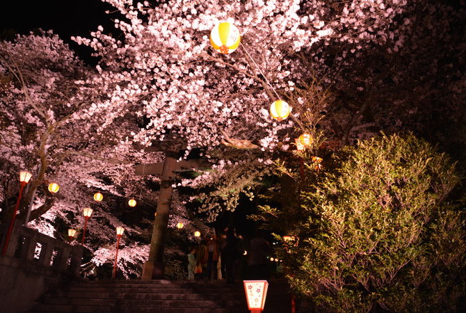 鬼怒川温泉夜樱祭