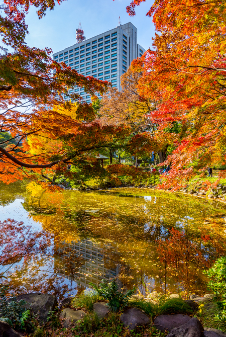 Autumn
