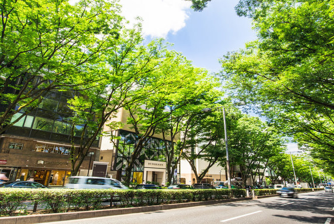 表参道&青山