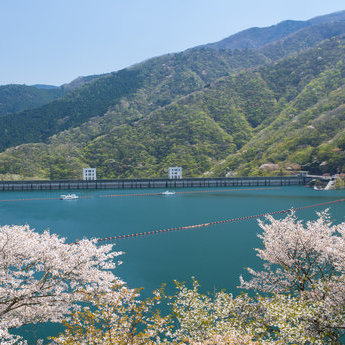 大东京地区