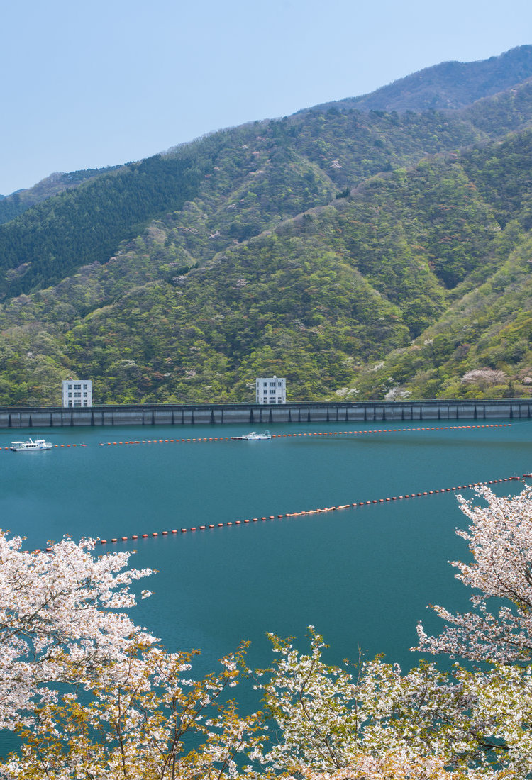 大东京地区