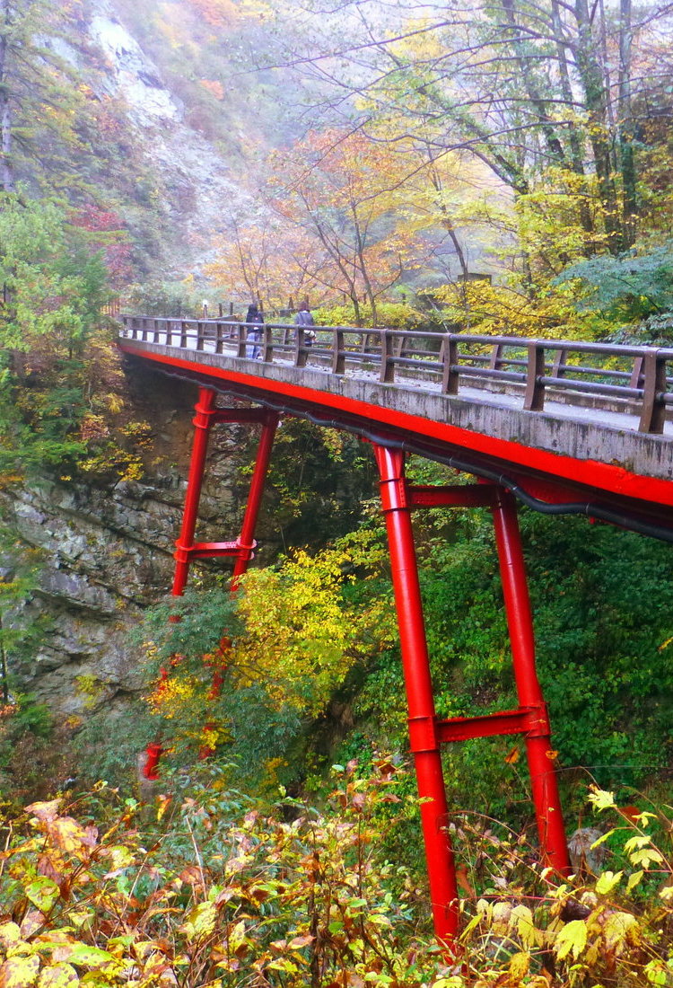 富山市
