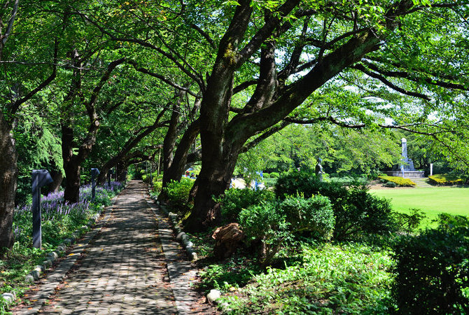 高冈古城公园 目的地 官方 日本国家旅游局 Jnto 高冈古城公园 目的地 官方 日本国家旅游局 Jnto