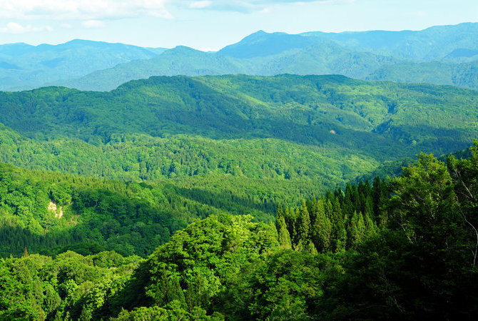 白神山地山脉（联合国教科文组织）