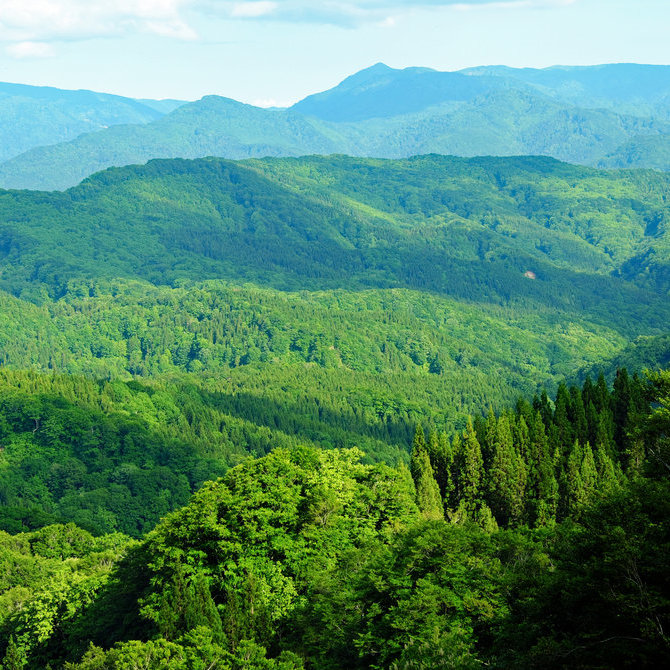 白神山地山脉(联合国教科文组织)