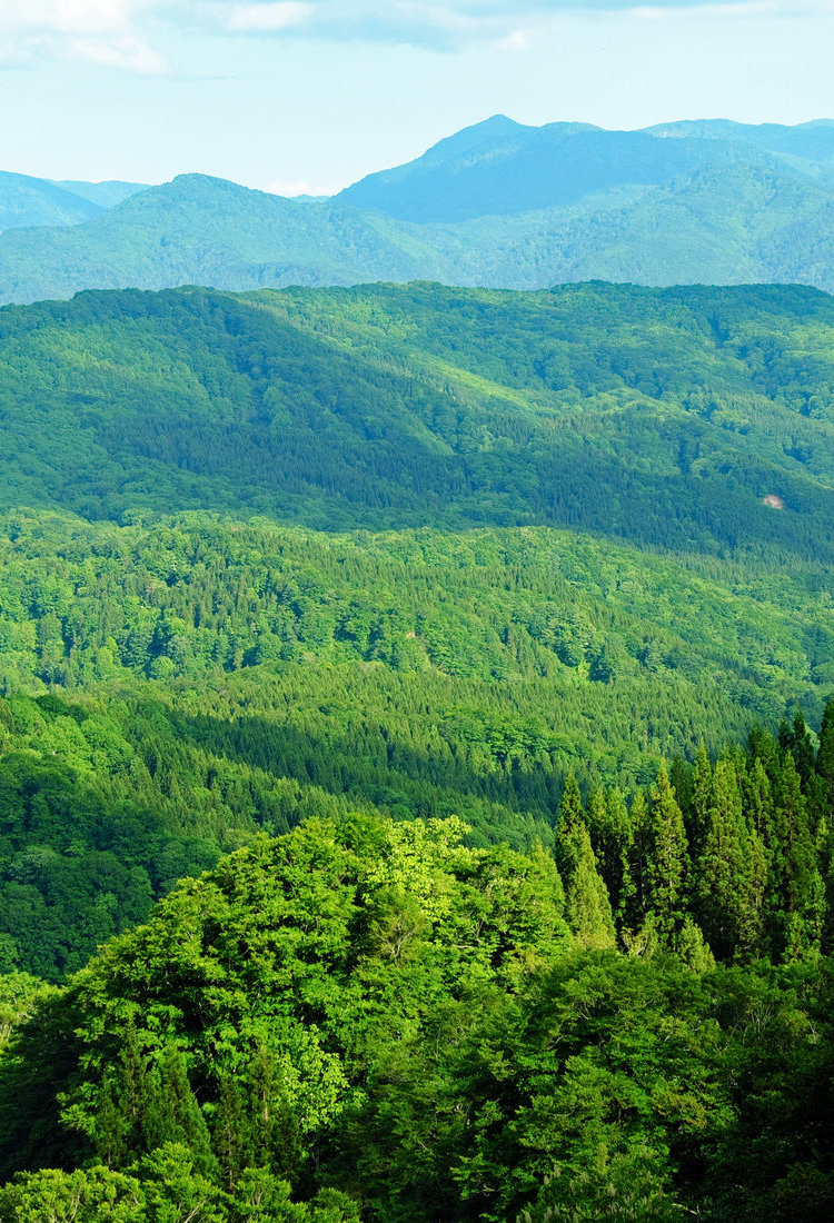 白神山地山脉（联合国教科文组织）