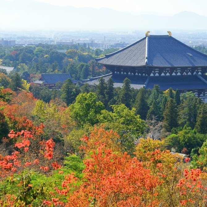 古奈良历史纪念遗迹(联合国教科文组织)