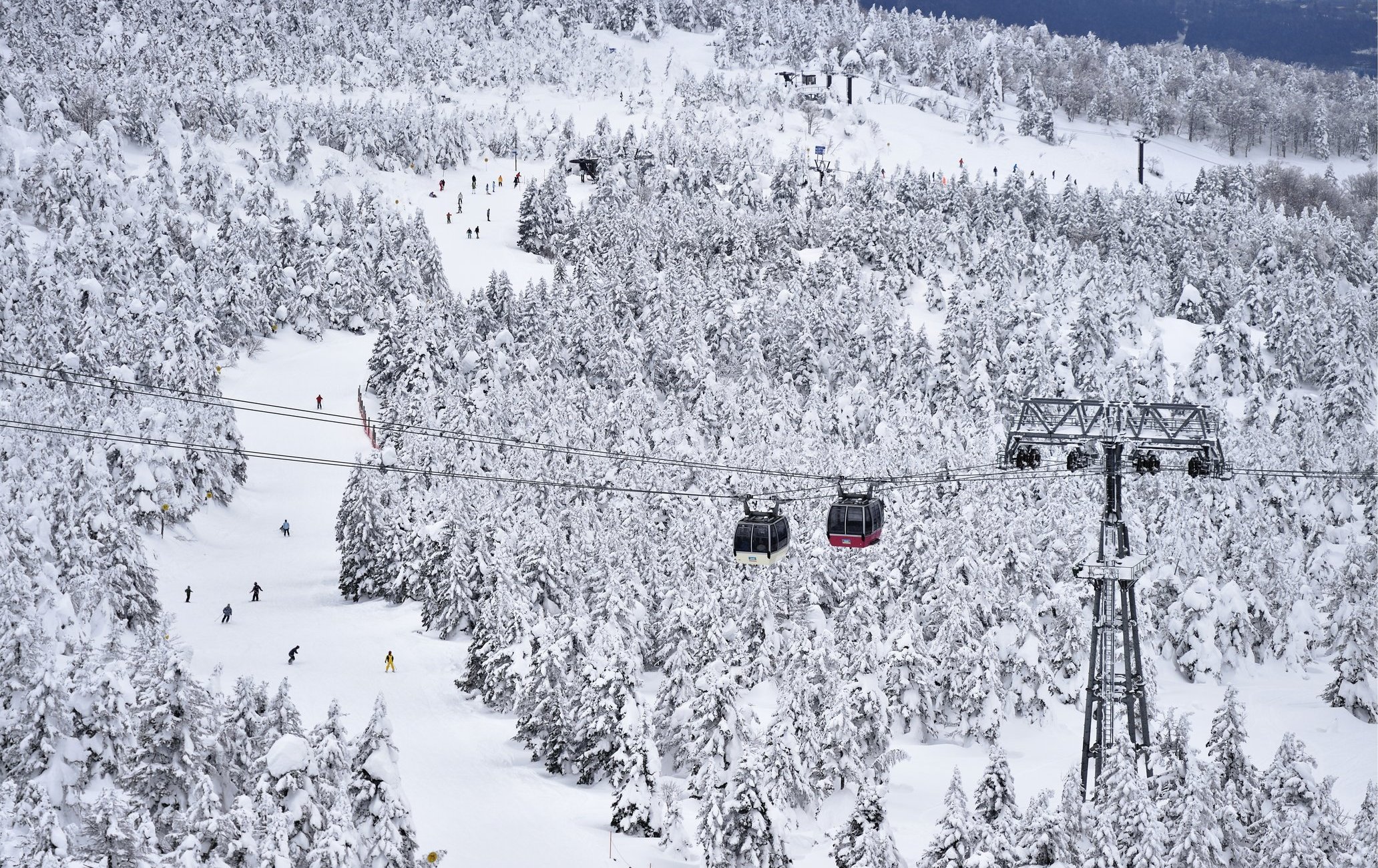 藏王温泉滑雪场
