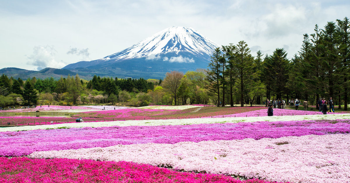 山梨｜目的地｜【官方】日本国家旅游局(JNTO)