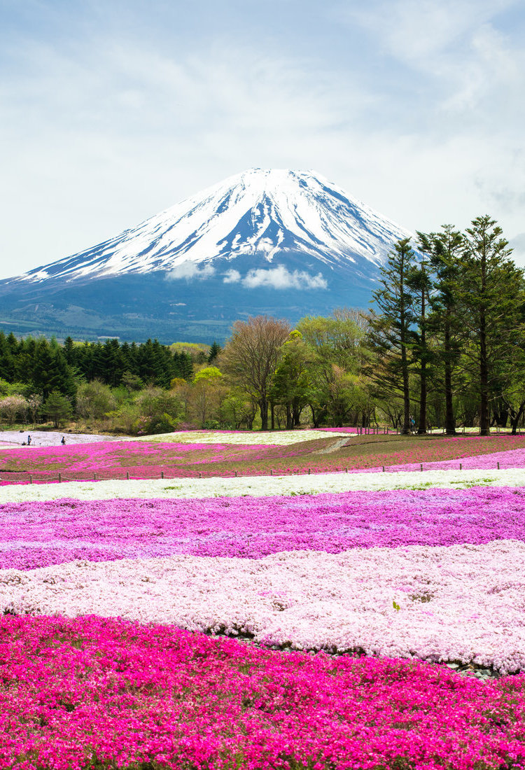 山梨