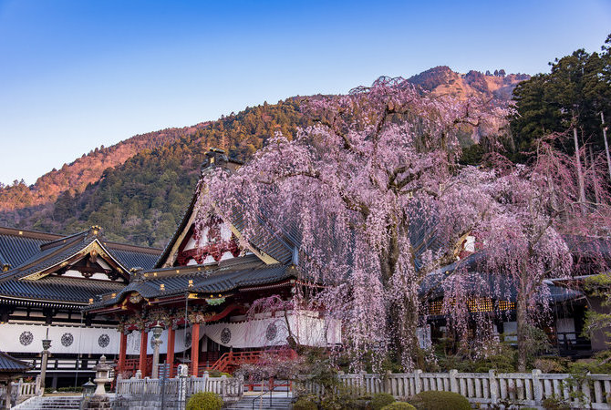 身延山