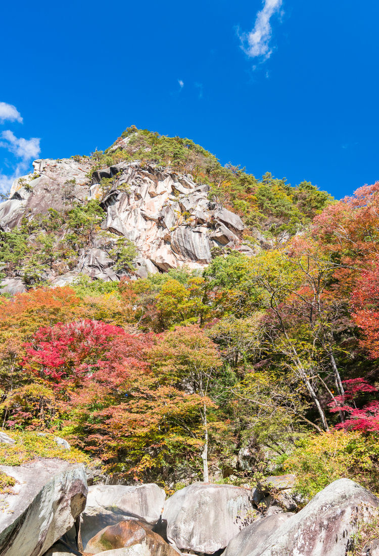 甲府