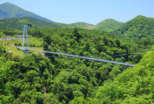 九重“梦”大吊桥