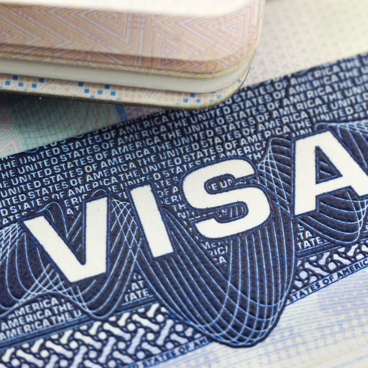 Working Visa & Working Holiday Visa