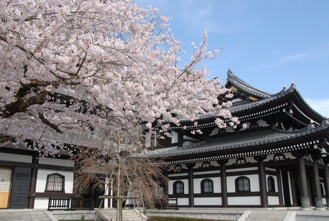 长谷寺(神奈川)