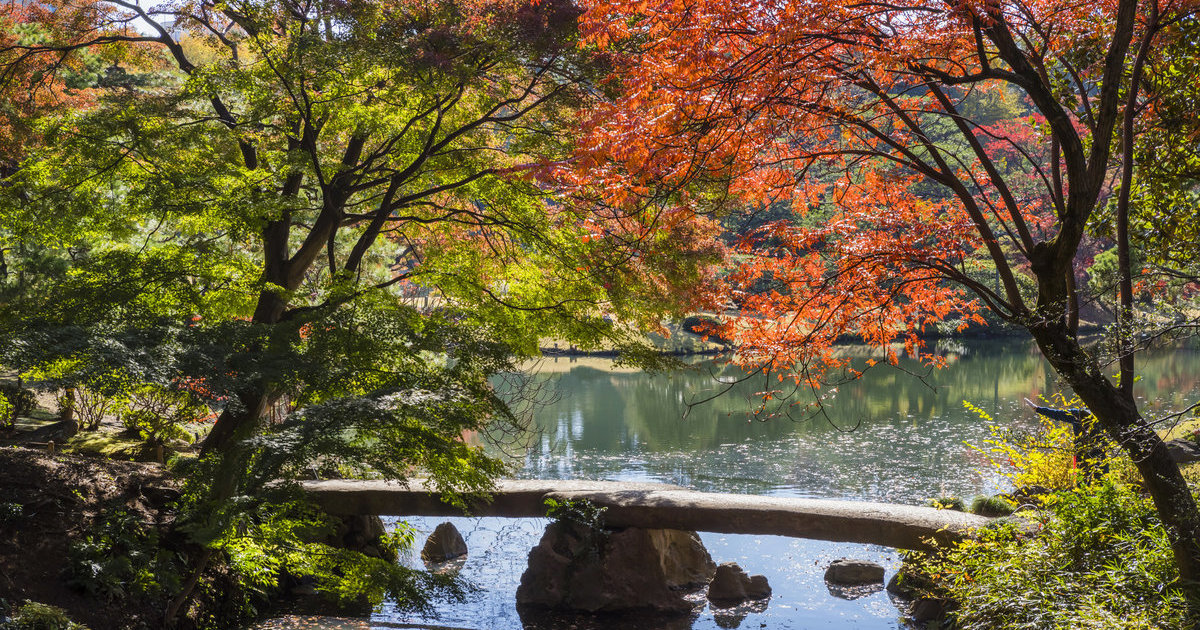 体验文化，探索独一无二的日式美学｜JAPAN Monthly Web Magazine (本月特推)｜【官方】日本国家旅游局(JNTO)