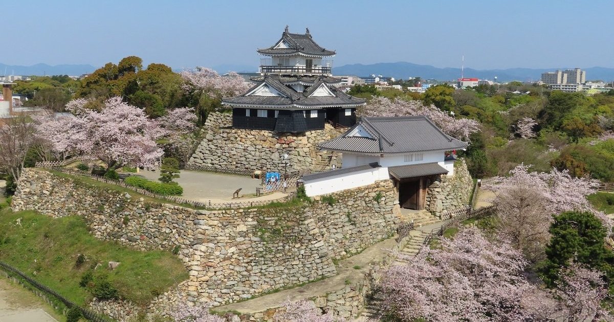滨松｜目的地｜【官方】日本国家旅游局(JNTO)