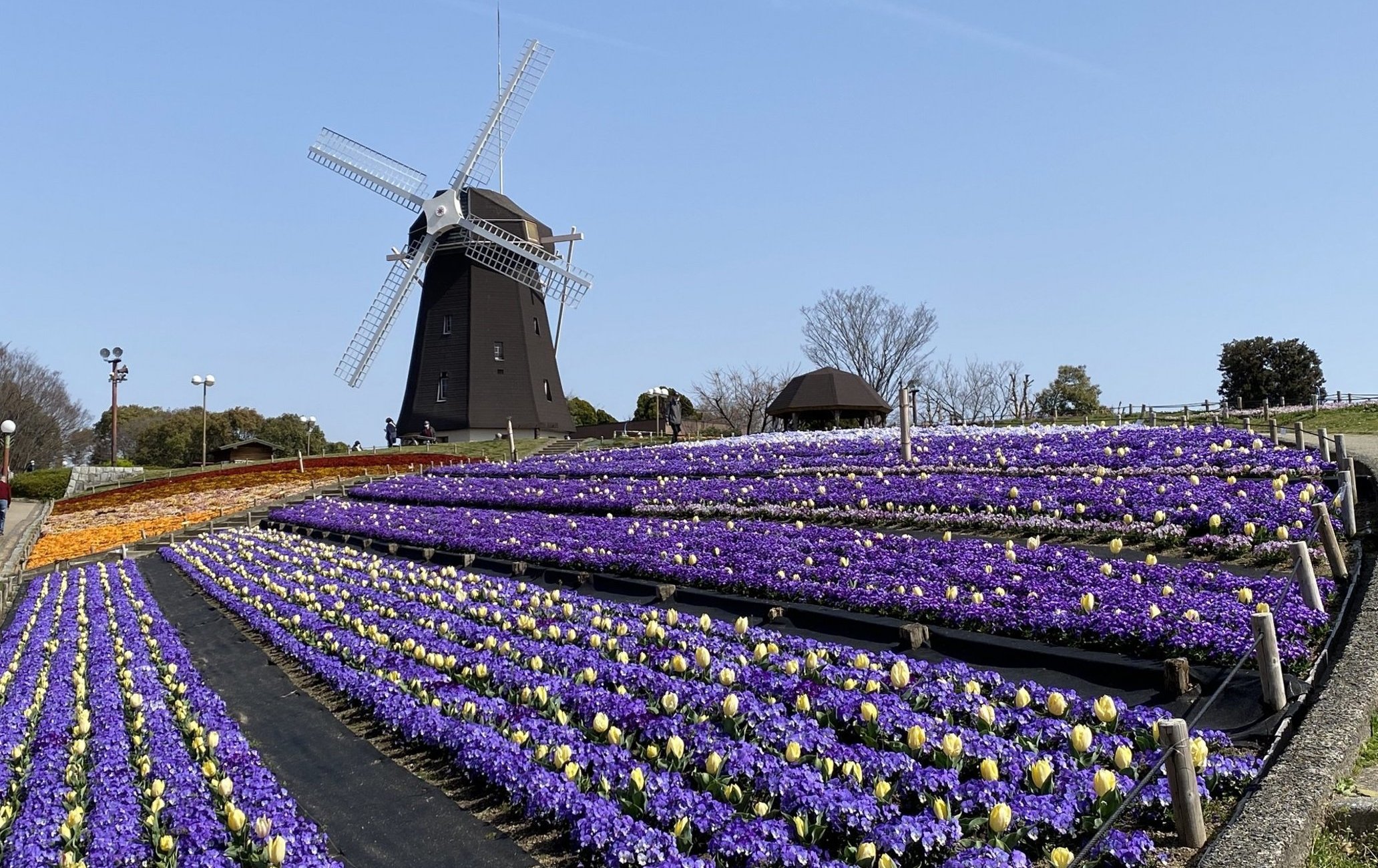花博纪念公园鹤见绿地