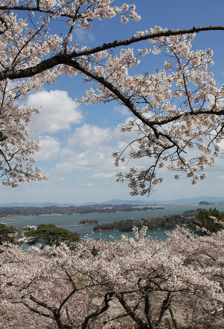 宫城