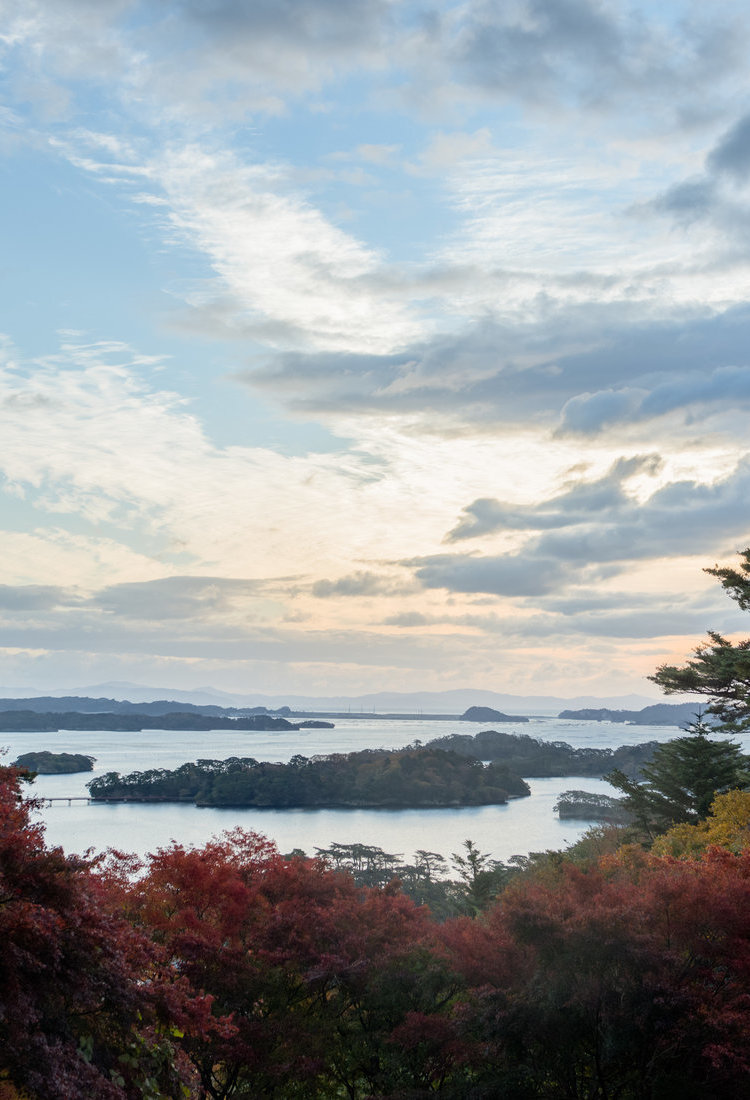 宫城海岸