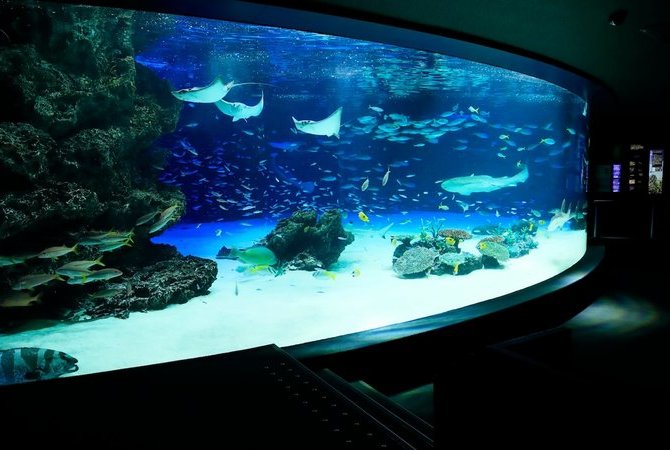 阳光水族馆