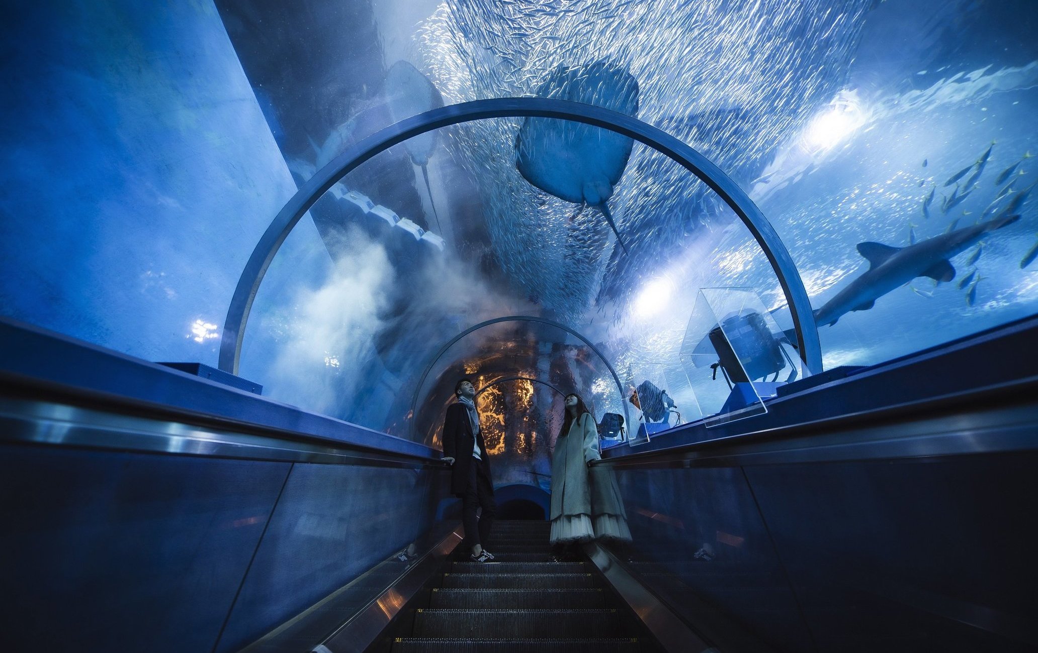 横滨・八景岛海岛乐园