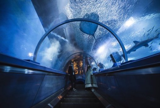 横滨・八景岛海岛乐园