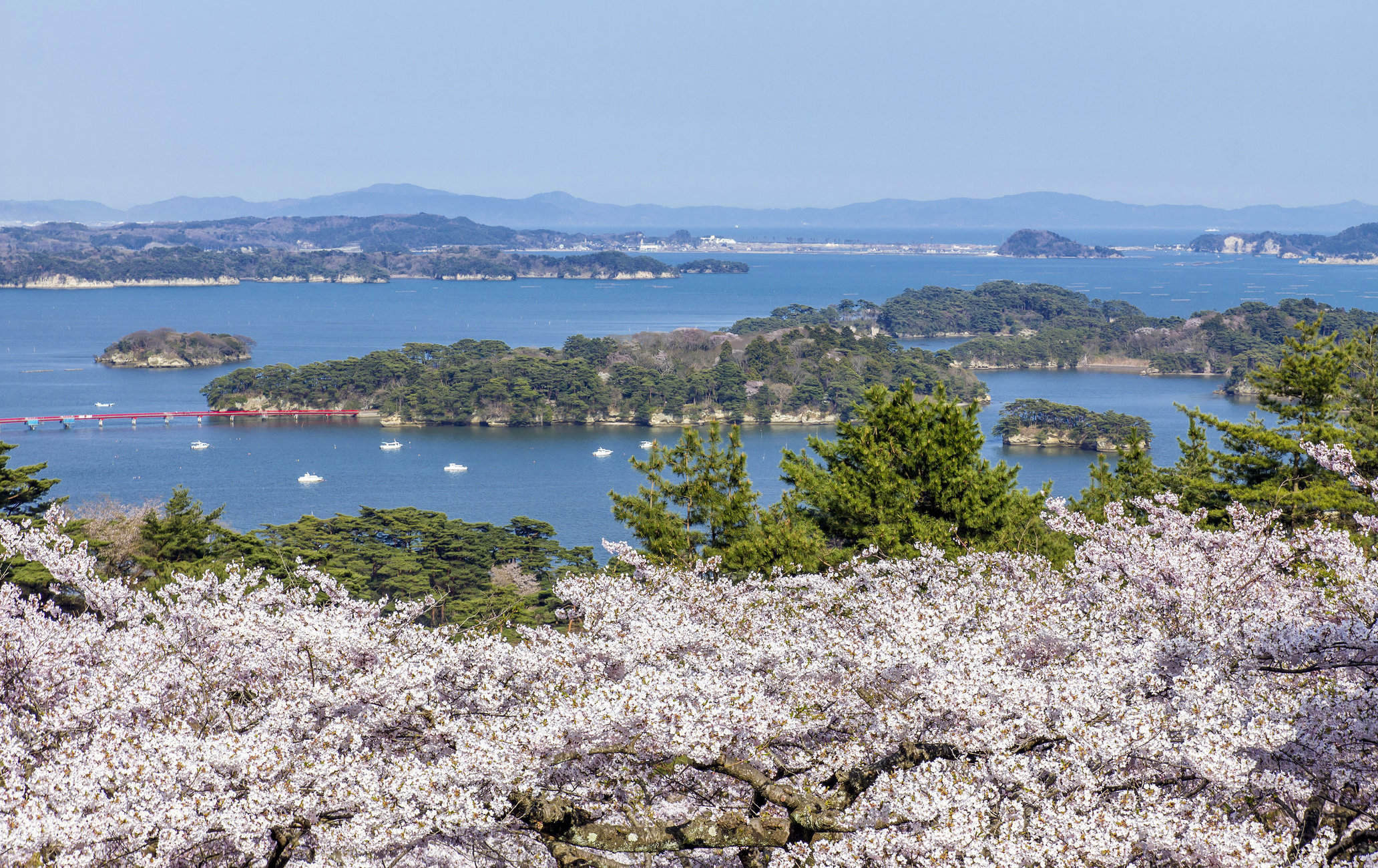 松岛湾环岛观光船