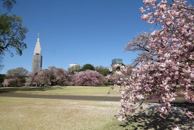 新宿御苑 目的地 官方 日本国家旅游局 Jnto