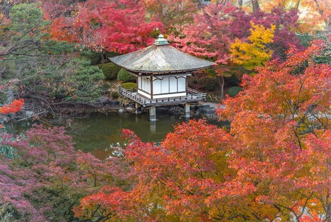 和歌山城