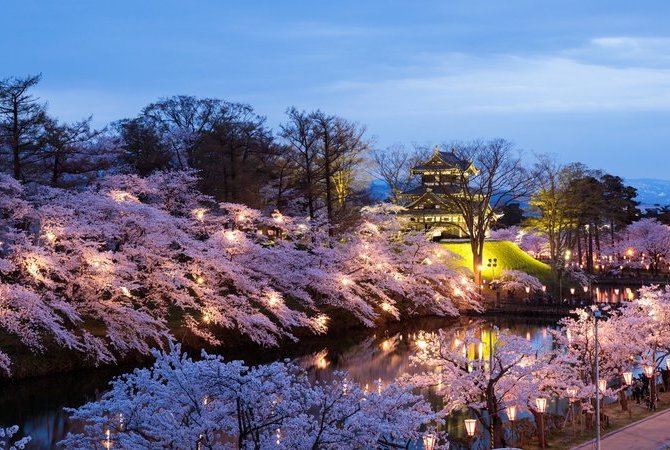 高田城址公园百万人赏樱会