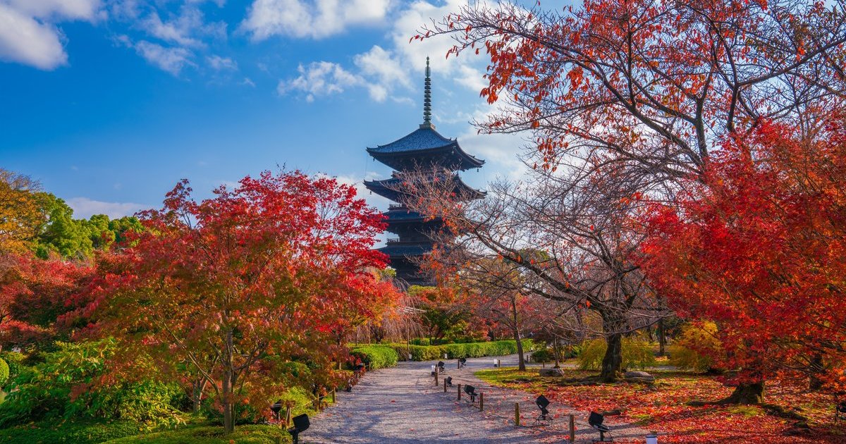 古京都遗址（京都、宇治和大津城）（联合国教科文组织）｜世界遗产｜【官方】日本国家旅游局(JNTO)
