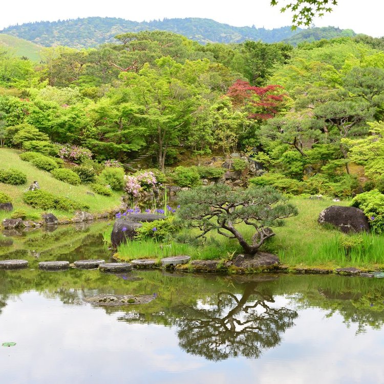 日本各地的日式庭园和禅意庭院