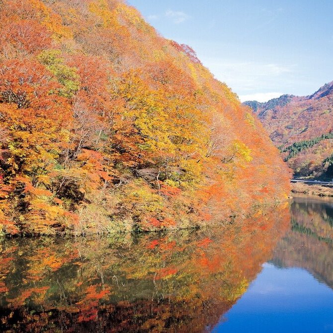 东北地区的文化与友谊之旅