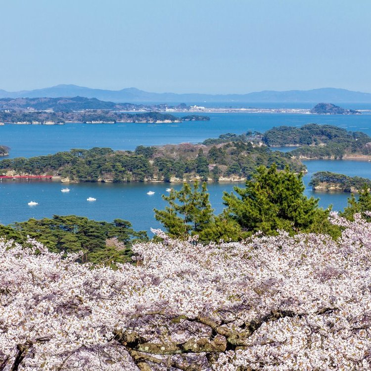松岛、秋保温泉与仙台
