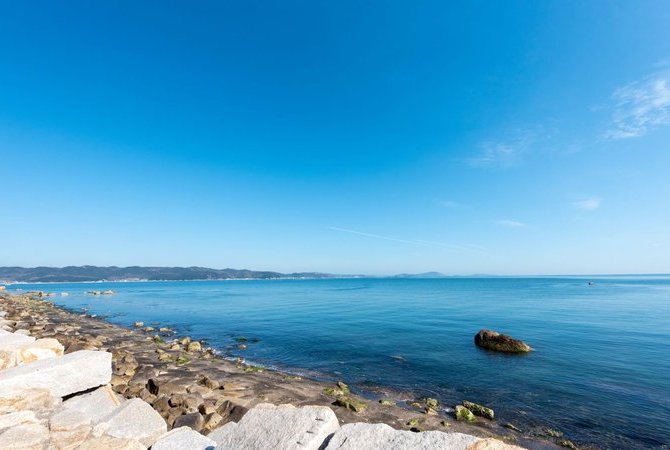 犬岛精炼所美术馆