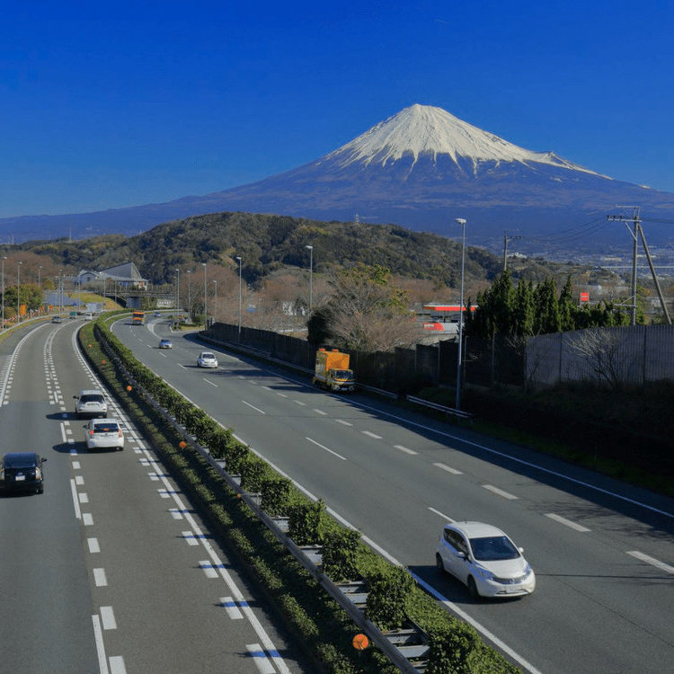 地区性高速公路周游券